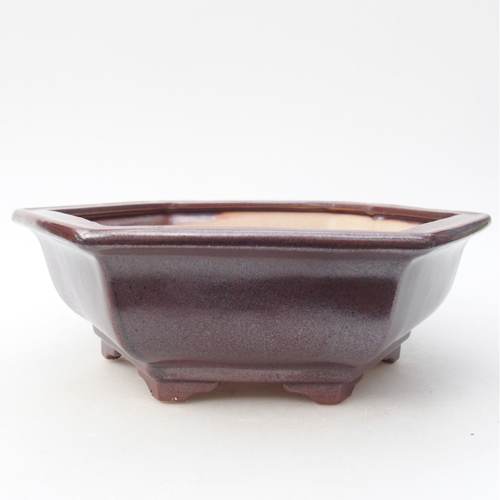 Bonsaischaal van keramiek 24 x 21 x 7,5 cm, kleur bordeauxrood