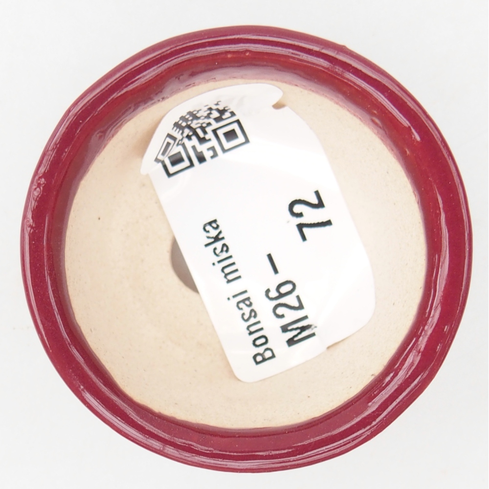 Mini bonsaischaal 4,5 x 4,5 x 2,5 cm, bordeauxrood