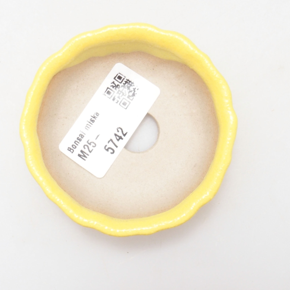 Bonsaischaal van keramiek 7 x 7 x 2 cm, geel