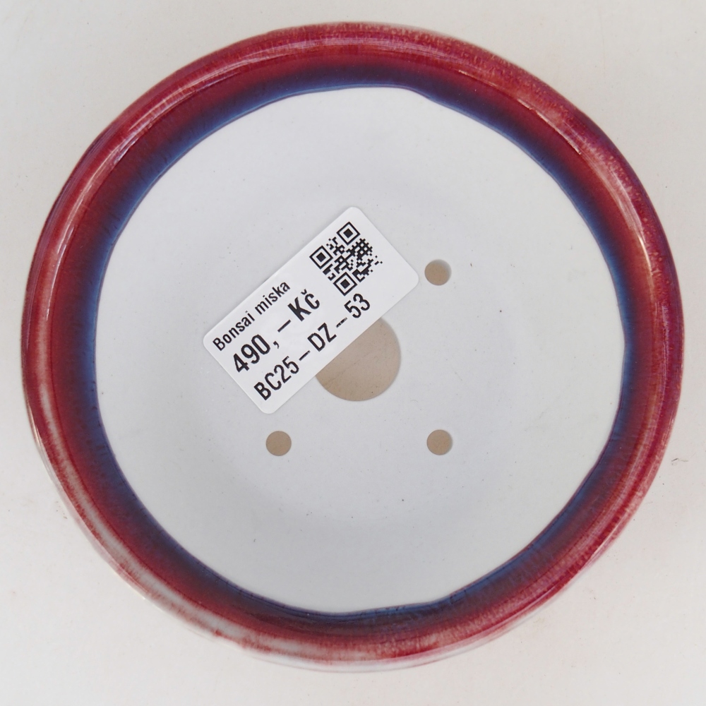 Bonsaischaal van keramiek 10,5 x 10,5 x 5 cm, kleur paars