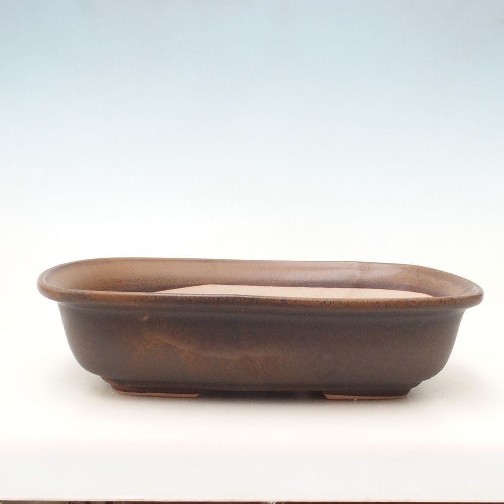 Bonsaischaal H10 - 37 x 28 x 9 cm - bruin