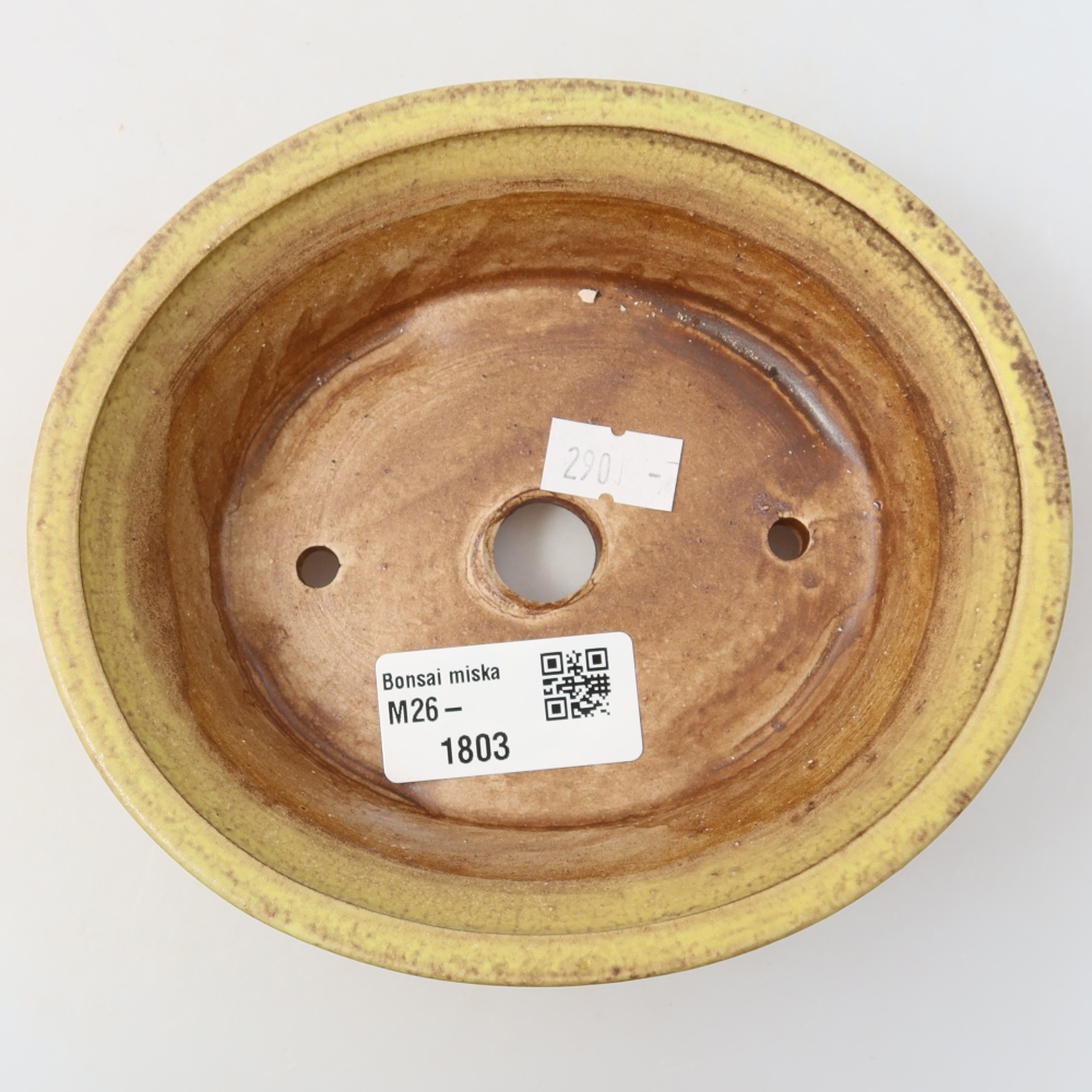 Keramische bonsaipot 14,5 x 12,5 x 4 cm, kleur geel