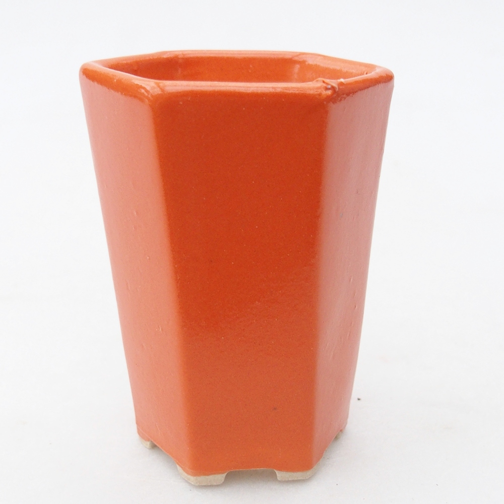 Mini bonsaischaal 5 x 4,5 x 6,5 cm, oranje
