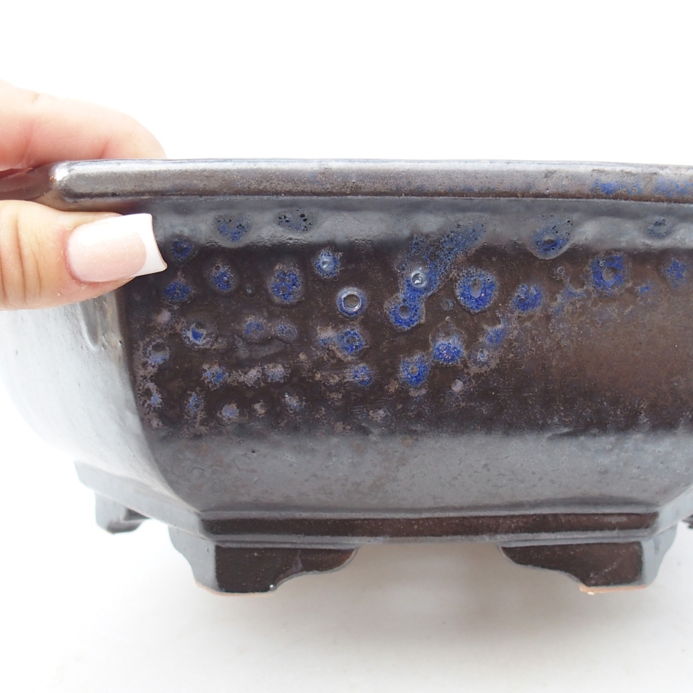 Bonsaischaal van keramiek 28 x 24,5 x 9 cm, kleur blauw-zwart