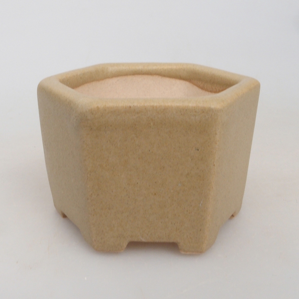 Mini bonsaischaal 6,5 x 6 x 4 cm, bruin