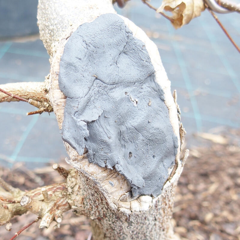 Cu-pasta 160 g - voor bladverliezende planten