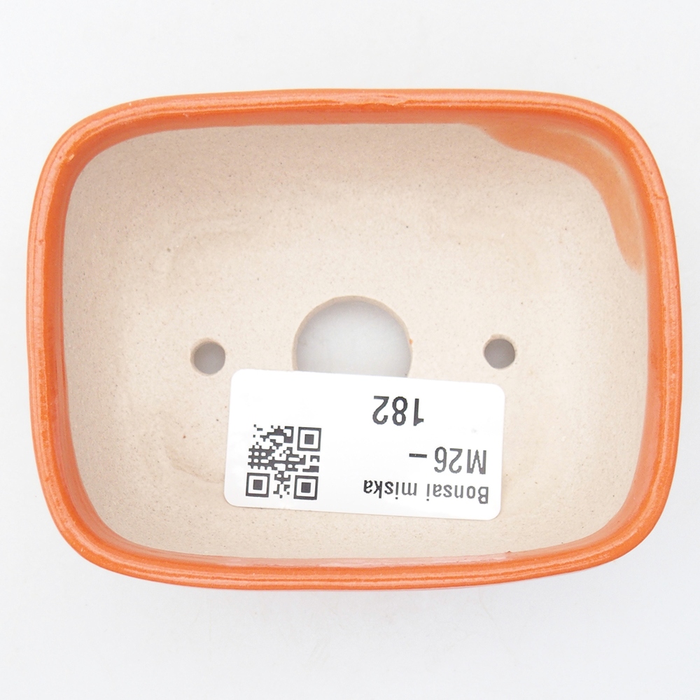 Mini bonsaischaal 8 x 6 x 3 cm, oranje
