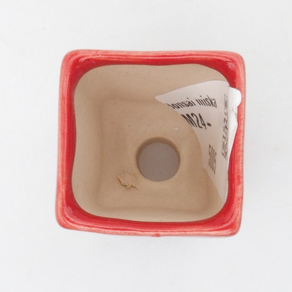 Mini bonsaischaal 3 x 3 x 5,5 cm, kleur rood