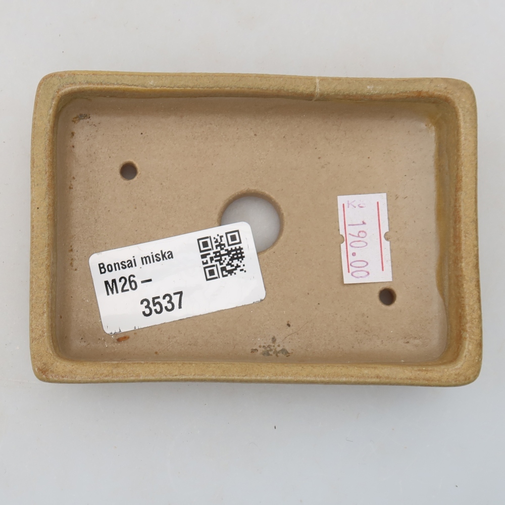 Bonsaischaal van keramiek 10 x 7 x 2 cm, kleur beige