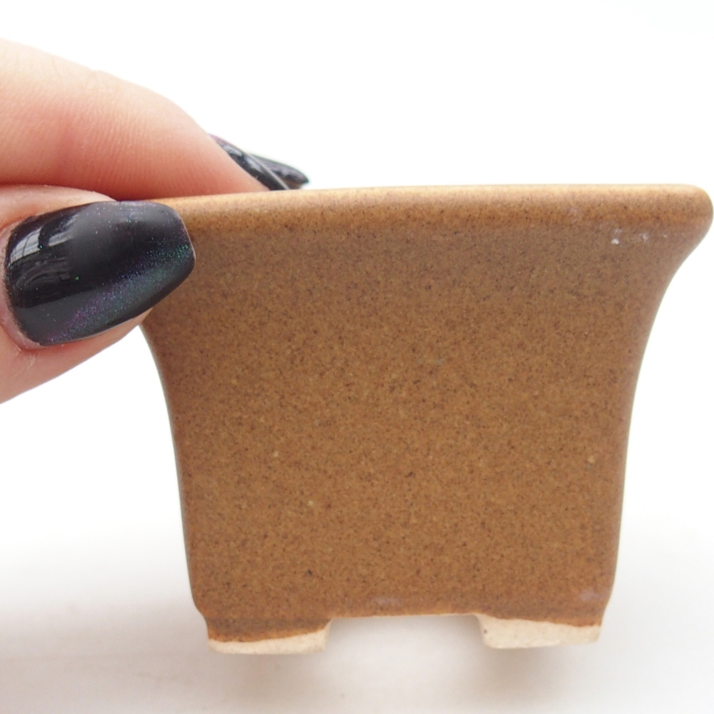Mini bonsaischaal 5,5 x 5,5 x 4 cm, bruin