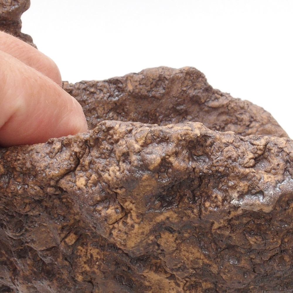 Keramisch Schelp 16 x 16 x 16 cm , kleur bruin