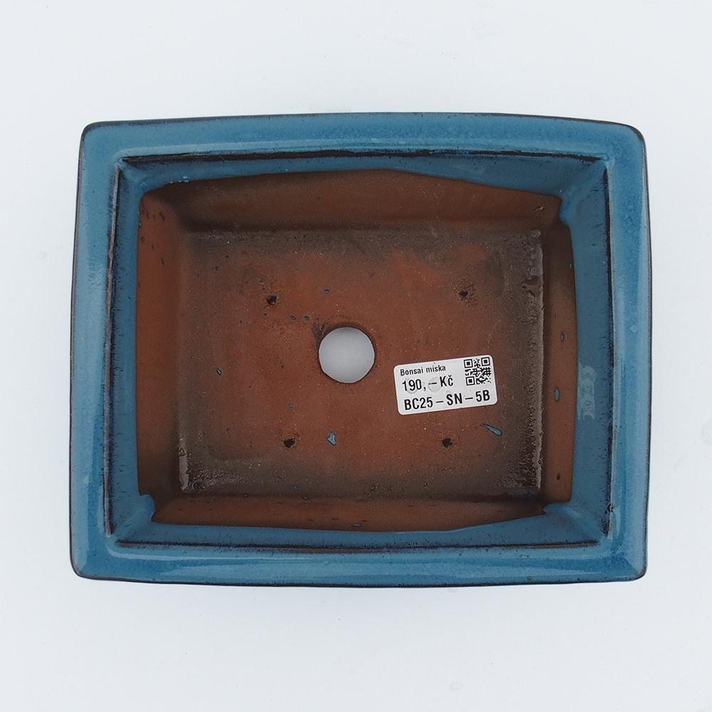 Kom 20 x 16,5 x 8 cm blauw