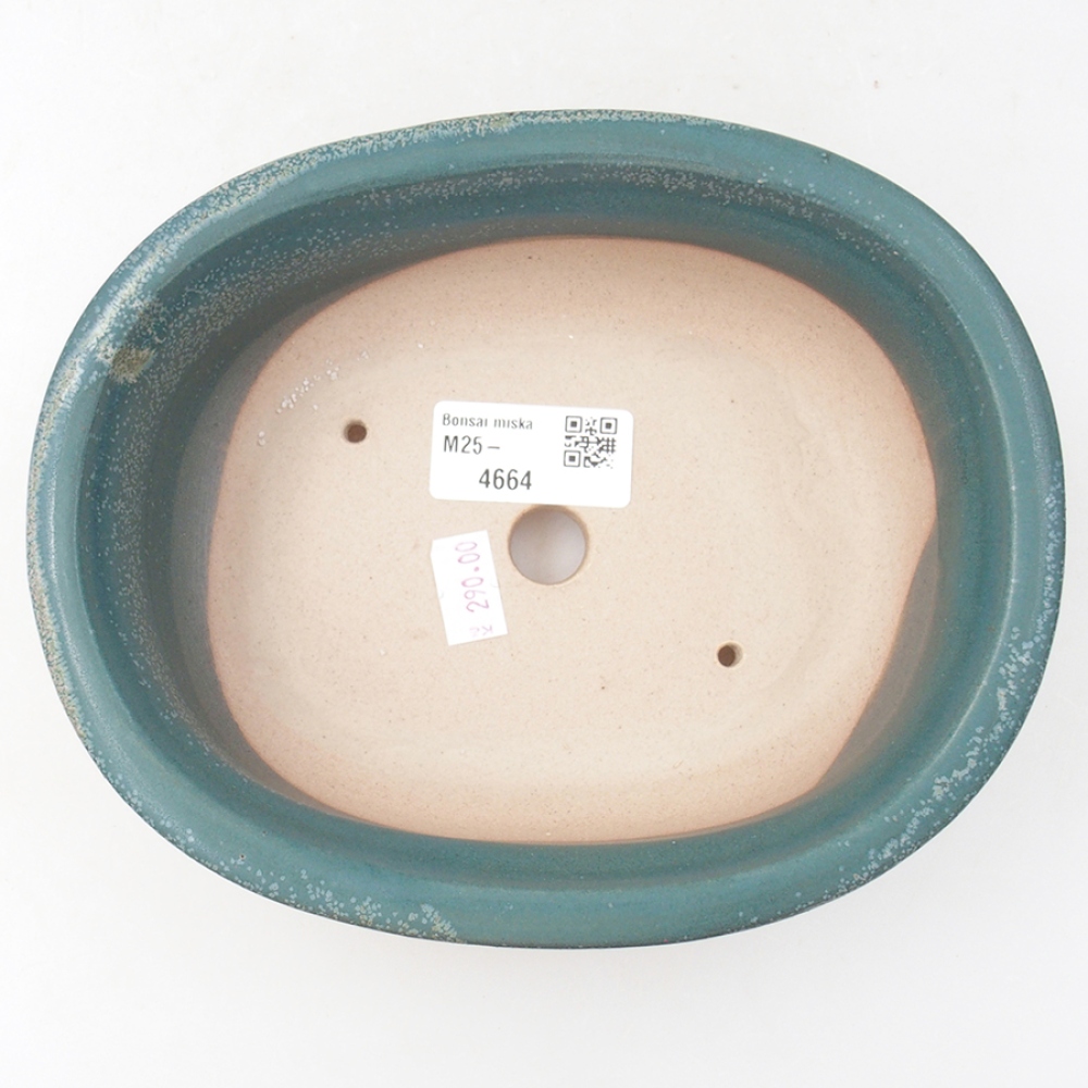Bonsaischaal van keramiek 18 x 14,5 x 6 cm, kleur blauw
