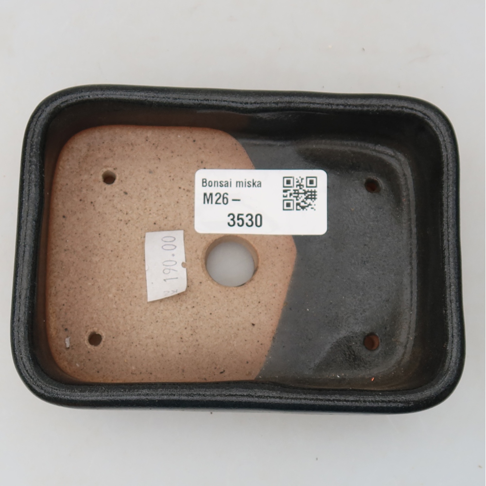Keramische bonsaipot 12,5 x 9 x 3,5 cm, kleur: zwart