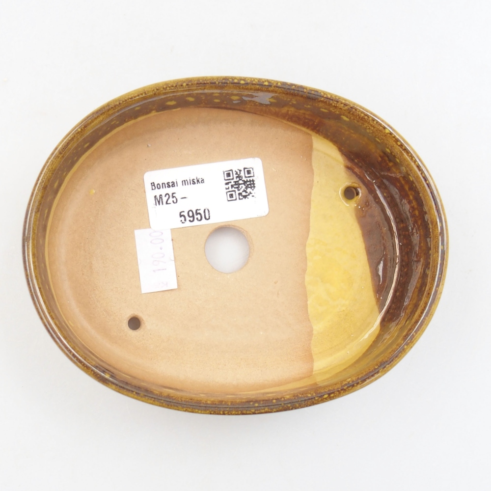 Bonsaischaal van keramiek 22 x 17 x 5 cm, groen