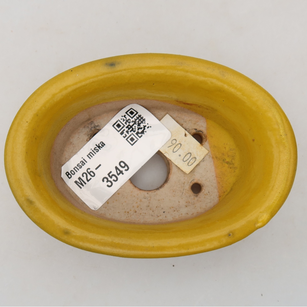 Keramische bonsaipot 9,5 x 6,5 x 3 cm, kleur: geel