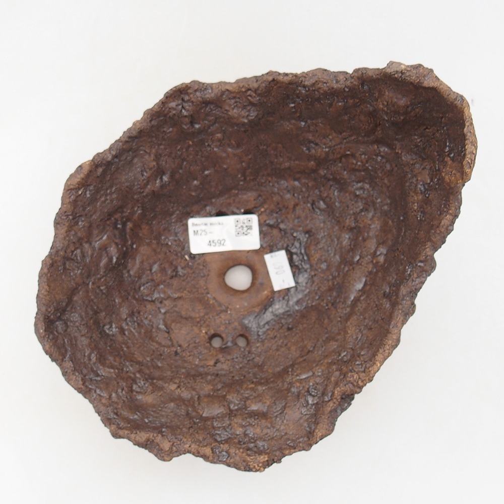 Keramisch Schelp 18 x 17,5 x 16 cm , kleur bruin