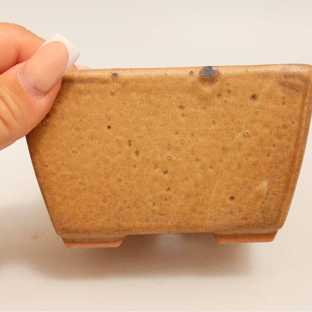 Keramische bonsaipot 10,5 x 10,5 x 6,5 cm, kleur: beige
