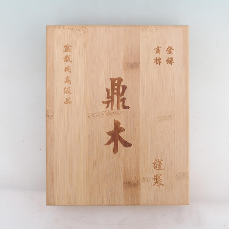 Beitels in bamboedoos - 5st