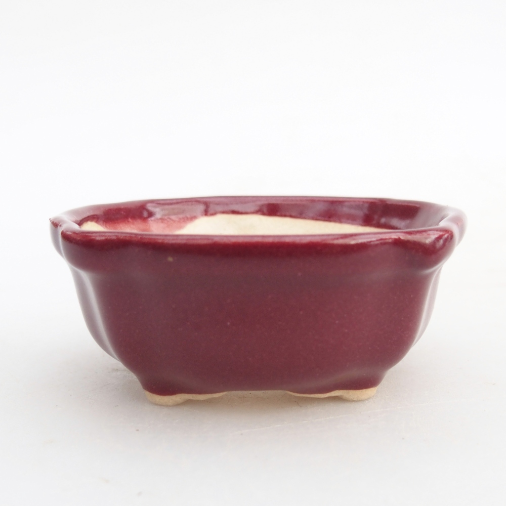 Mini bonsaischaal 6,5 x 6,5 x 3 cm, bordeauxrood