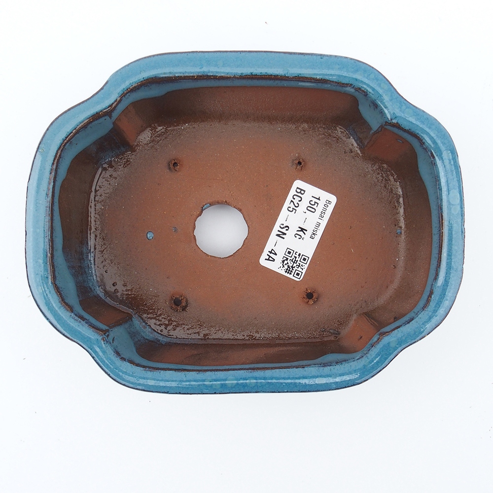 Kom 16 x 13 x 5,5 cm kleur blauw