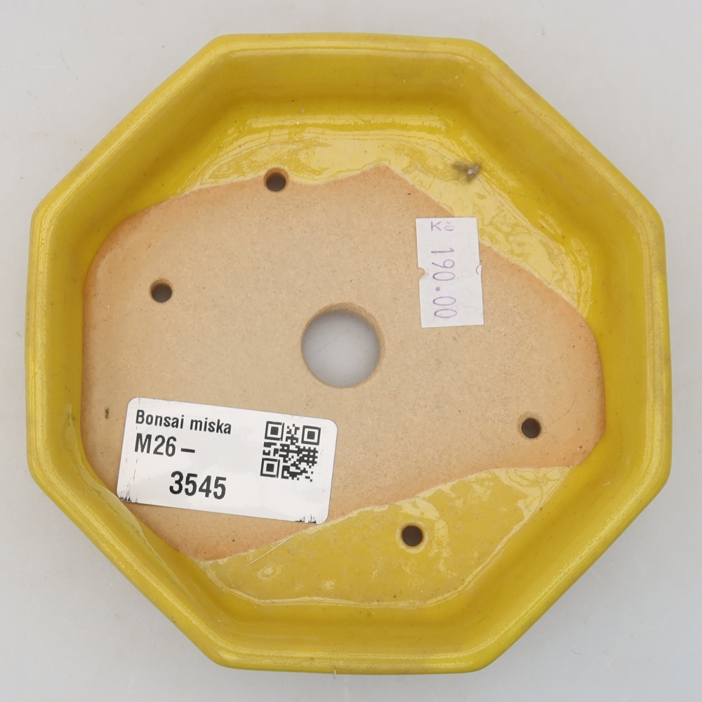 Keramische bonsaischaal 11,5 x 11,5 x 2,5 cm, kleur: geel