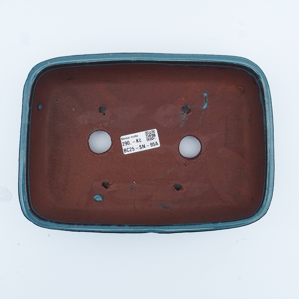 Kom 25 x 18 x 6 cm blauw