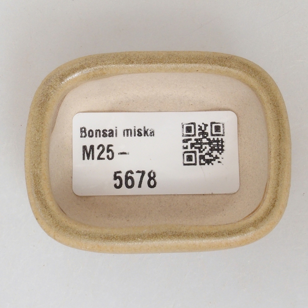 Mini bonsaischaal 5,5 x 4 x 2 cm, bruin