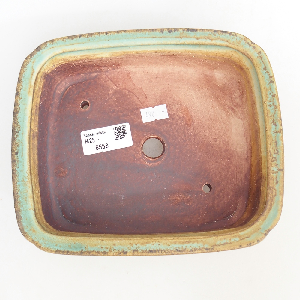 Bonsaischaal van keramiek 20 x 17 x 6 cm, groen