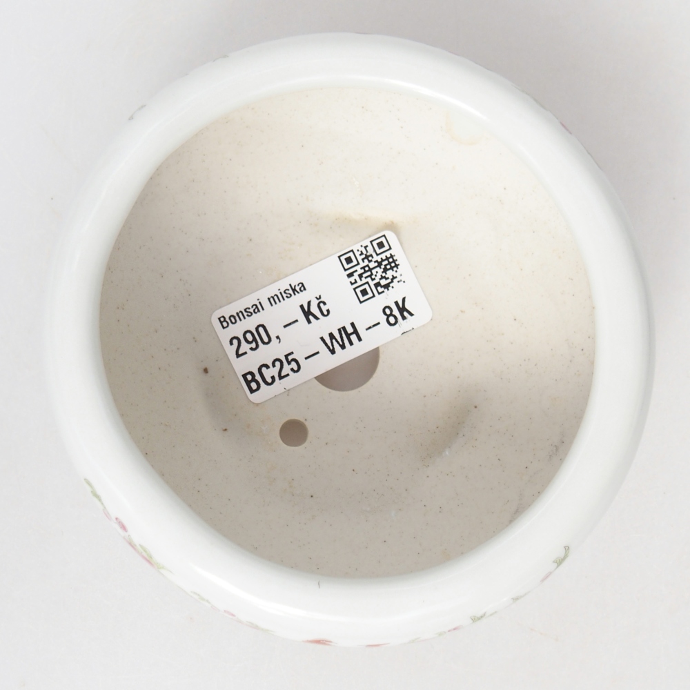 Bonsaischaal van keramiek 10 x 10 x 5 cm, kleur wit