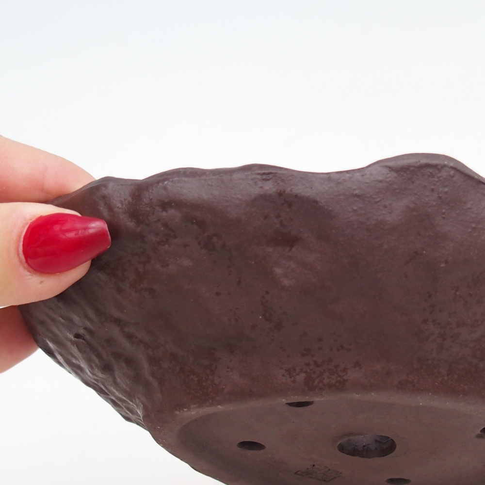 Keramisch Schelp 16 x 14,5 x 4 cm , kleur bruin