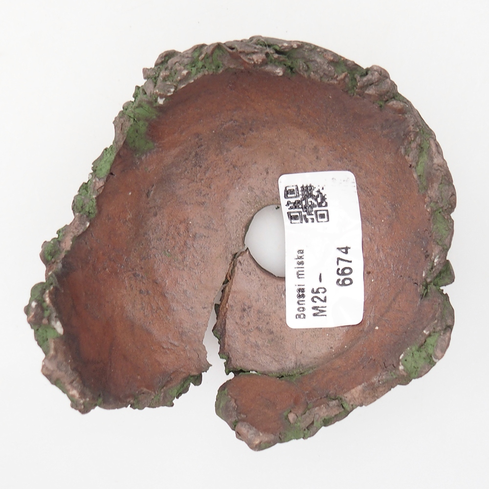 Keramisch Schelp 9 x 9,5 x 5,5 cm , kleur groen