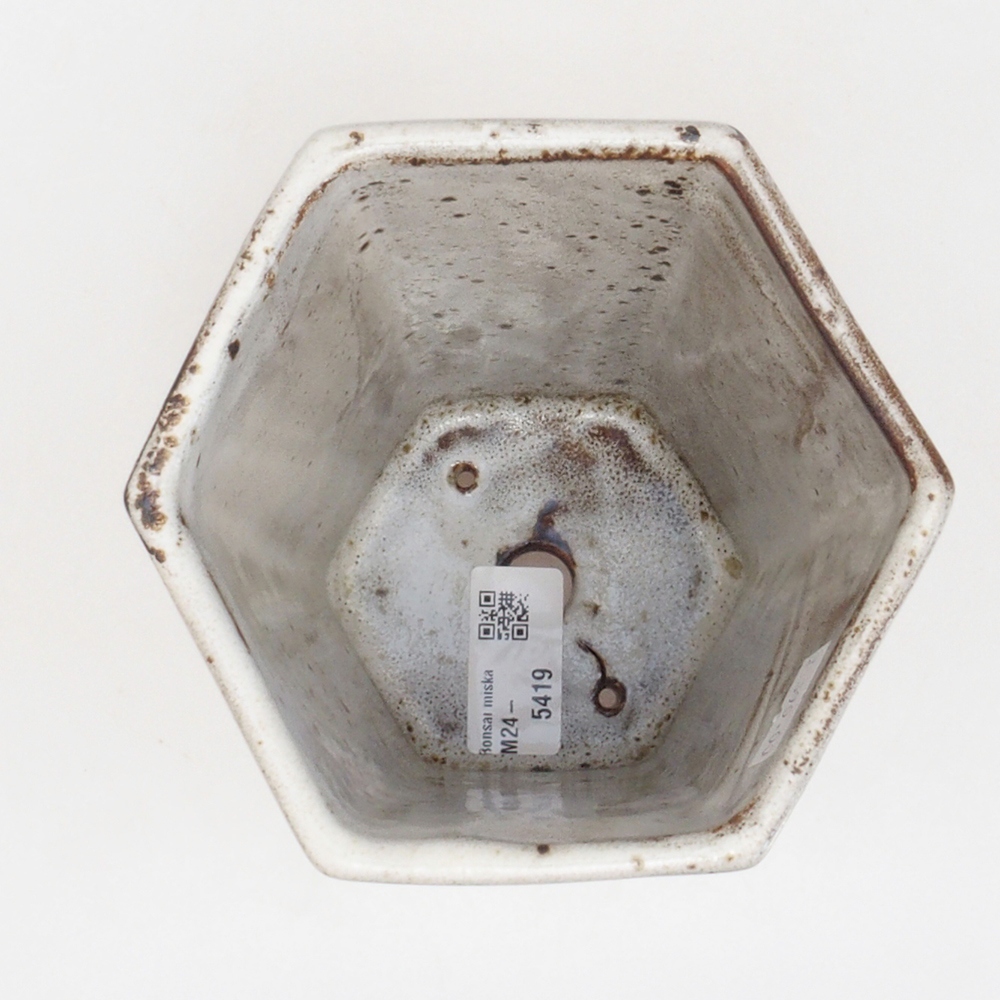 Bonsaischaal van keramiek 12,5 x 11,5 x 16,5 cm, kleur wit