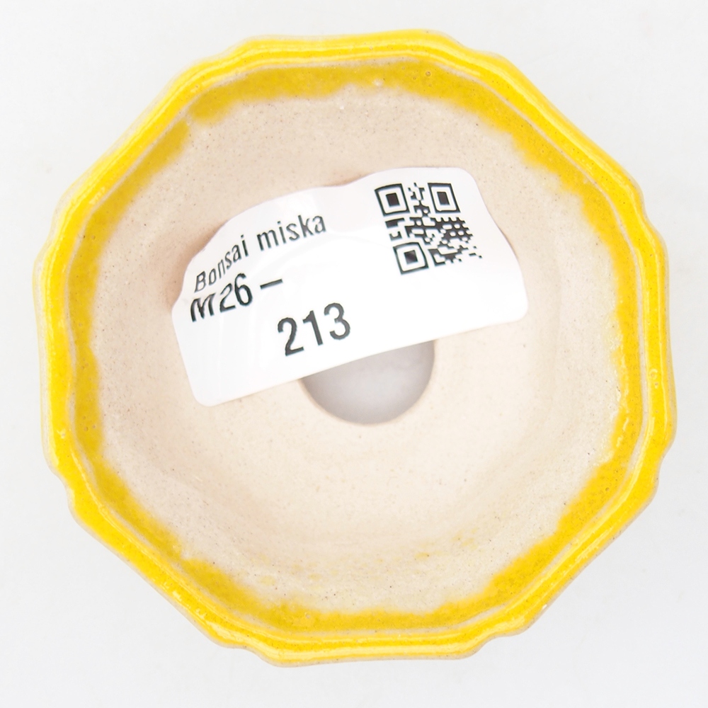 Mini bonsaischaal 6 x 6 x 2,5 cm, geel
