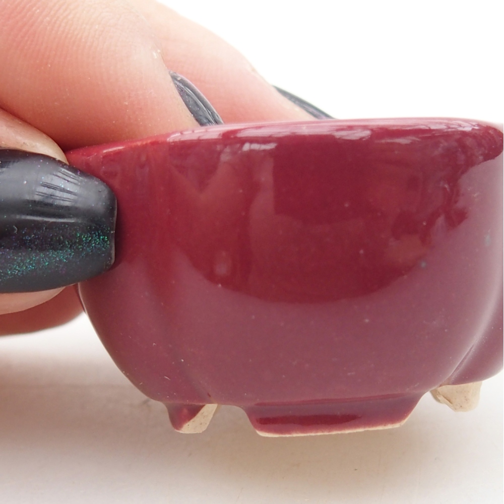 Mini bonsaischaal 4 x 4 x 2 cm, bordeauxrood