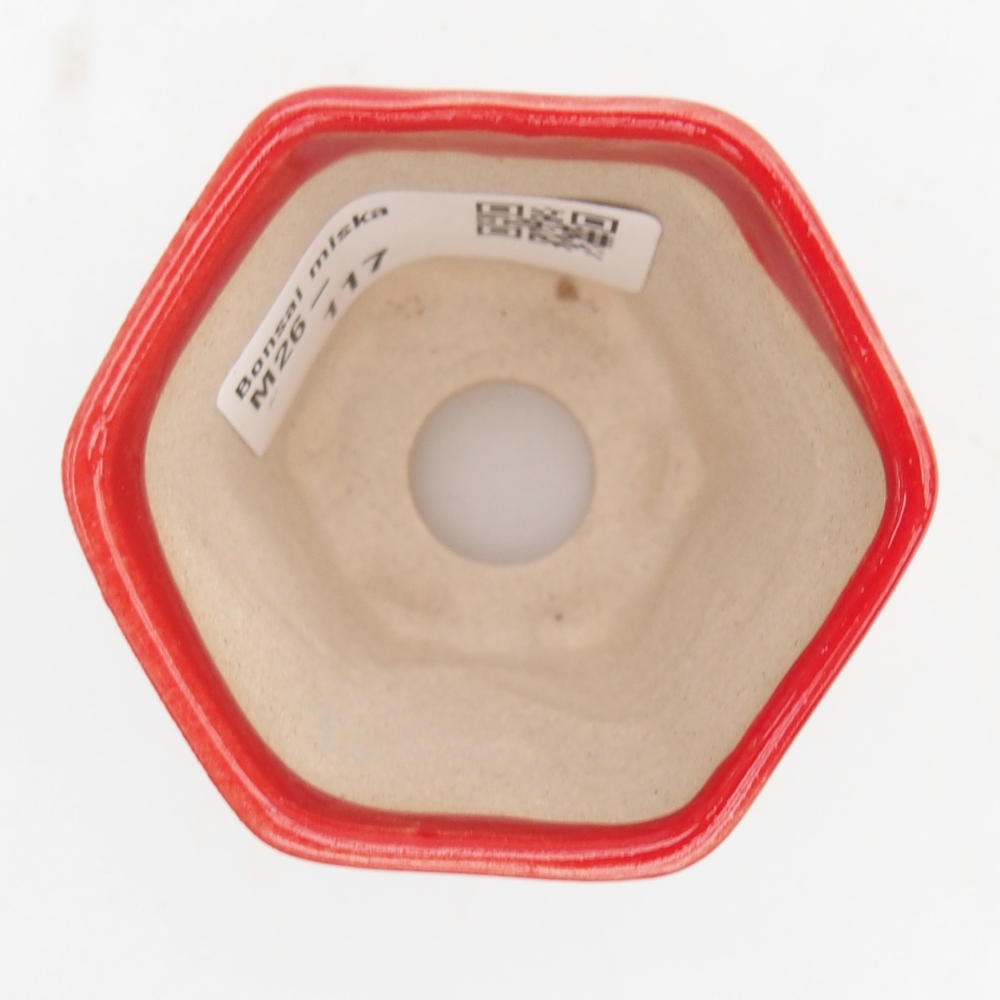 Mini bonsaischaal 5,5 x 5 x 5 cm, kleur rood