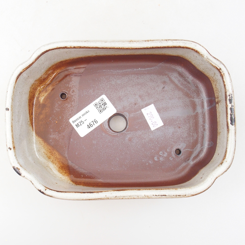 Bonsaischaal van keramiek 18 x 13 x 5 cm, wit