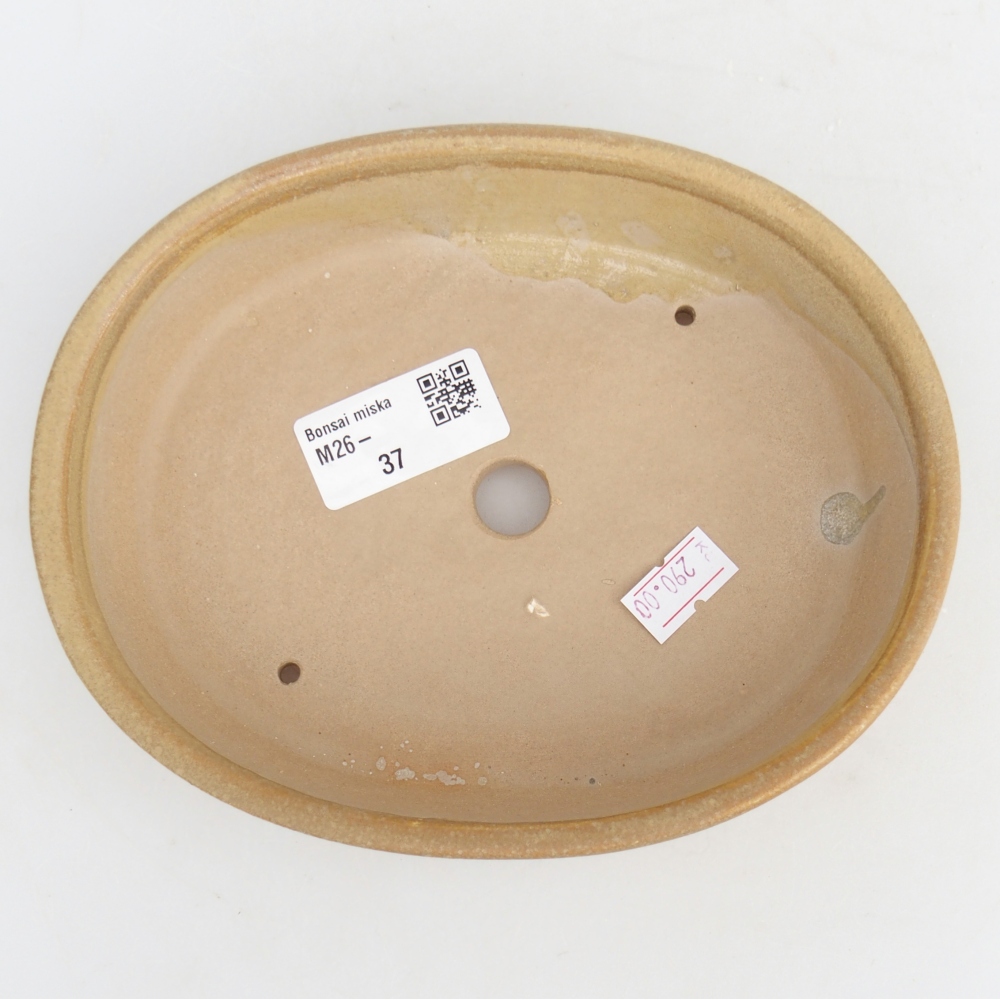 Bonsaischaal van keramiek 17 x 14 x 4 cm, kleur beige