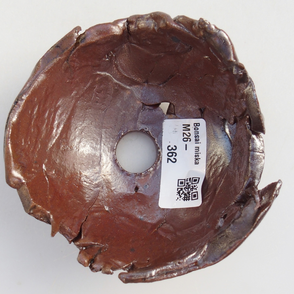 Schelp van keramiek 10 x 10 x 6 cm , kleur bruin