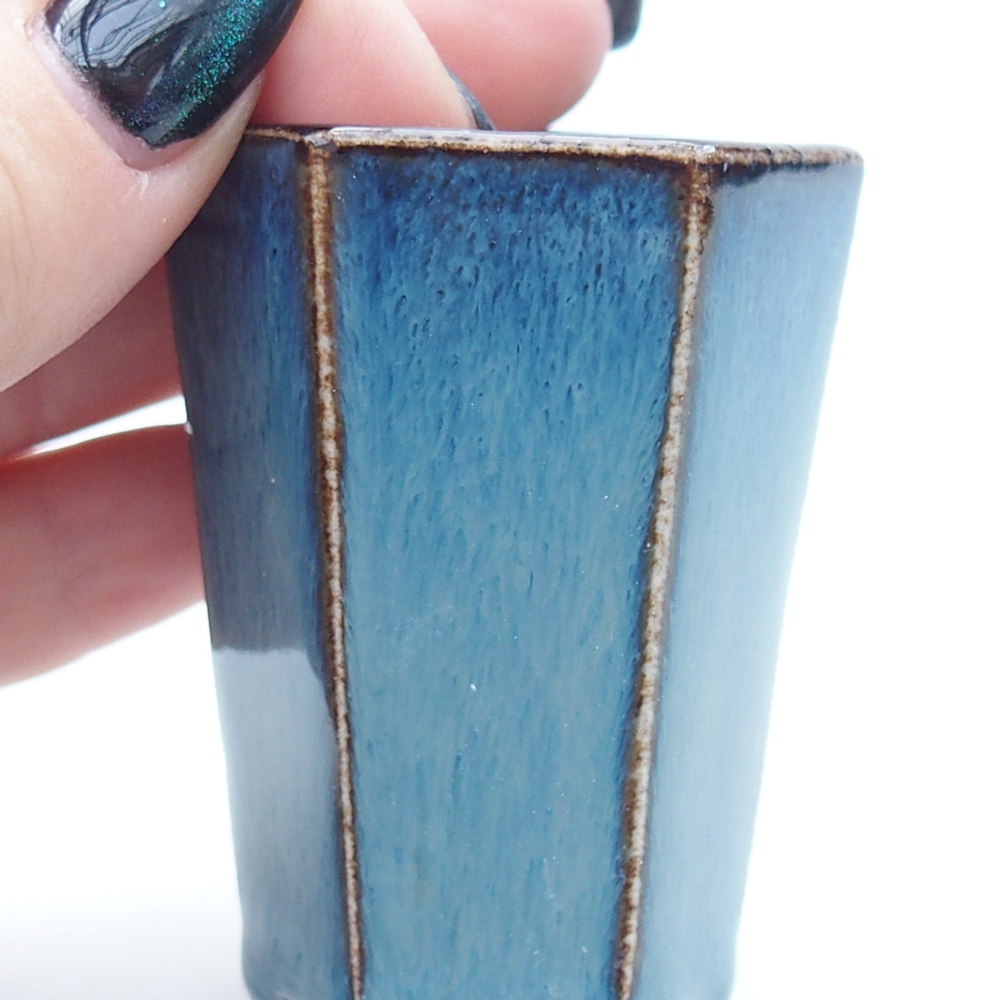 Mini bonsaischaal 4 x 3,5 x 5,5 cm, kleur blauw