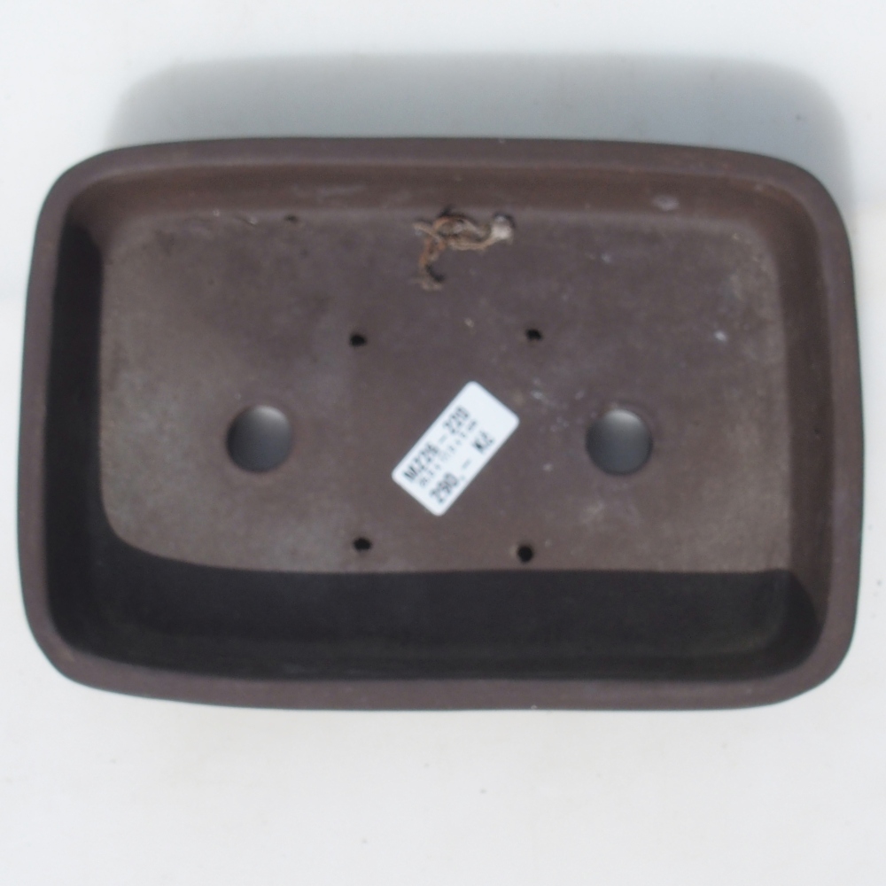 Bonsaischaal 25,5 x 17,5 x 5 cm berken bruin