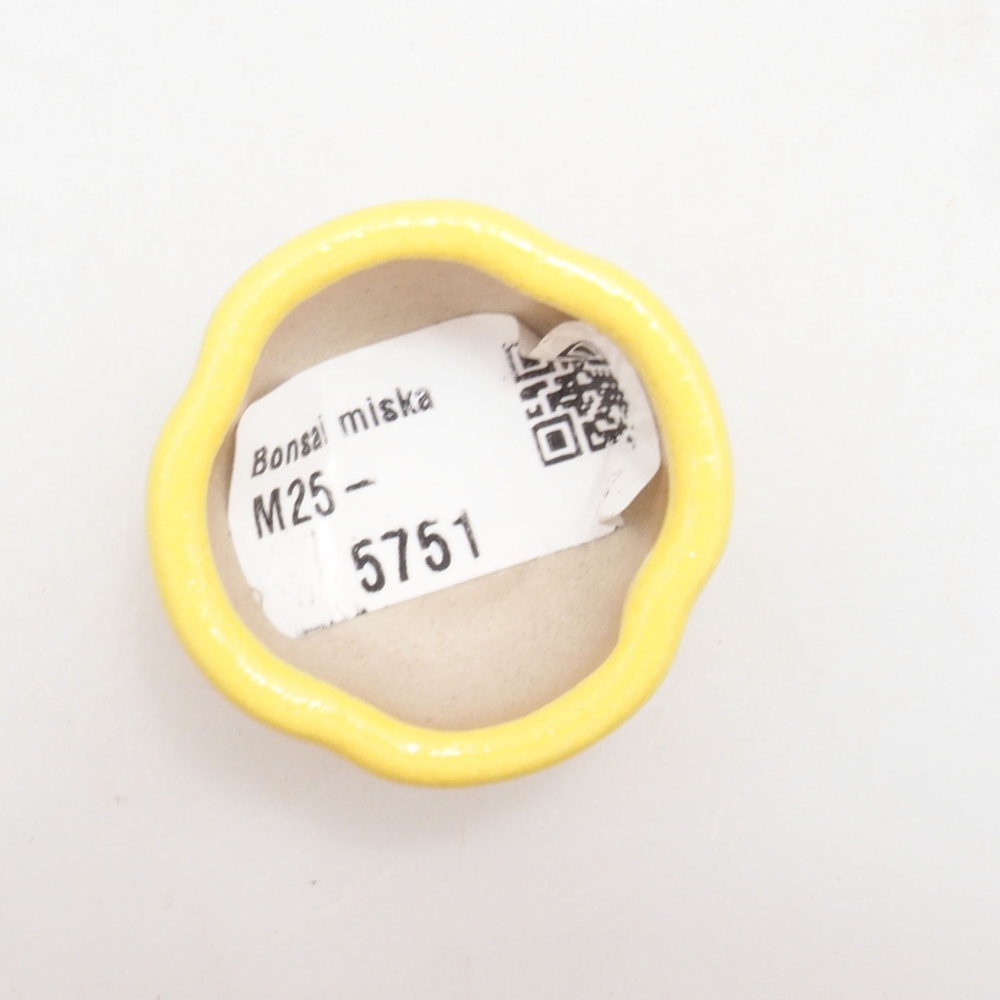 Bonsaischaaltje van keramiek 4 x 4 x 2 cm, geel