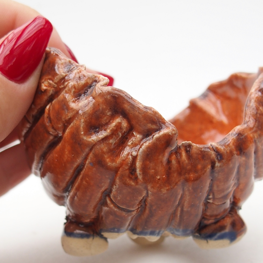 Schelp van keramiek 8 x 8 x 6 cm , kleur oranje