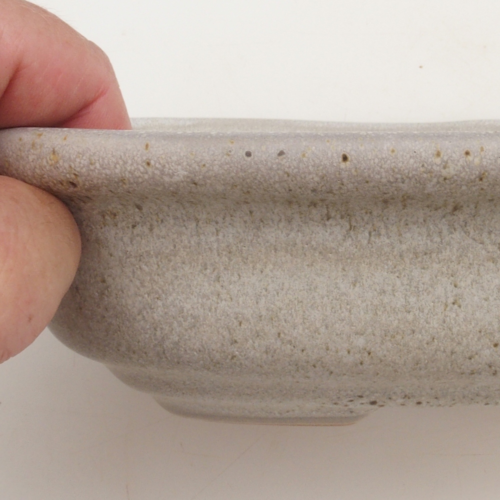 Bonsaischaal H25 - 23 x 17 x 5,5 cm - beige