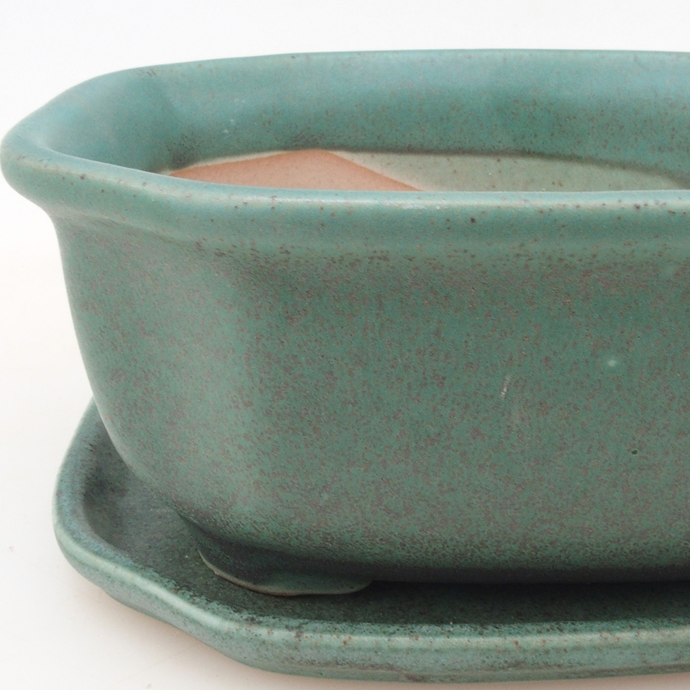 Bonsai kom + schotel H31 - groen