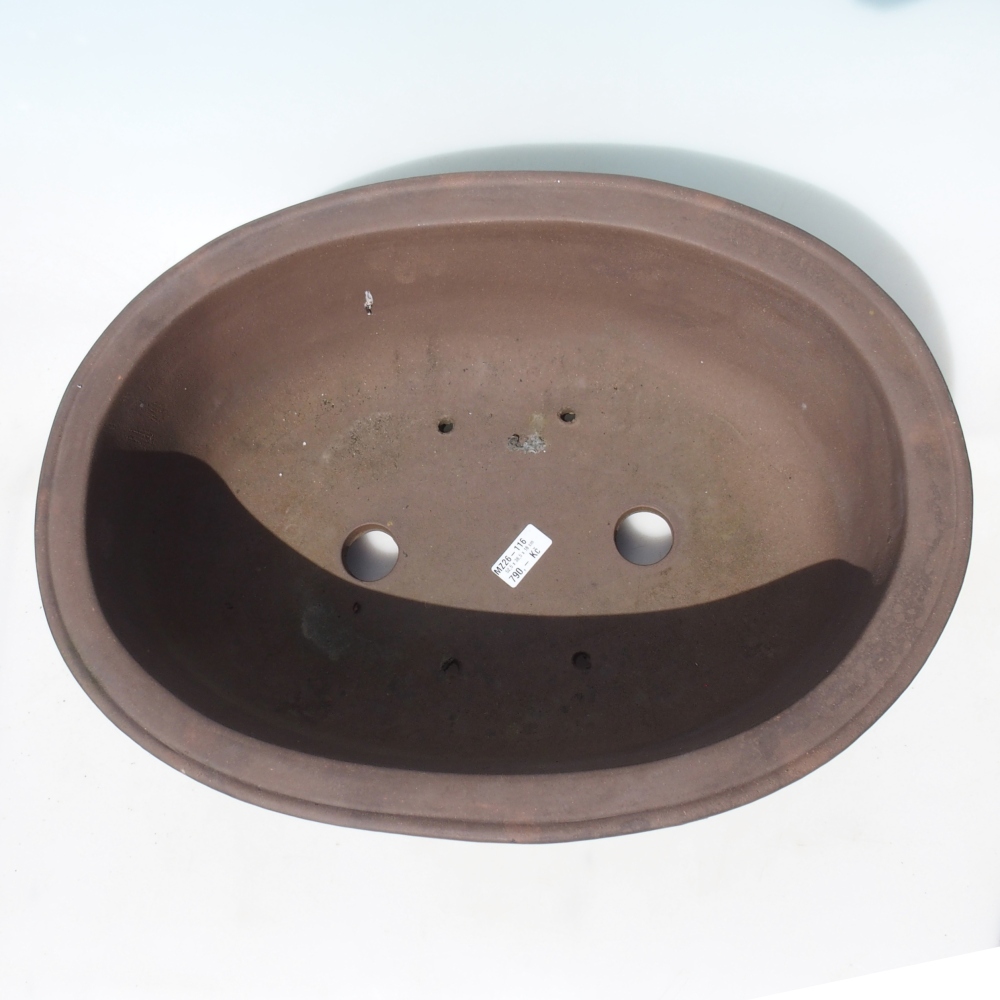 Bonsaischaal 52,5 x 38,5 x 18 cm - bruin