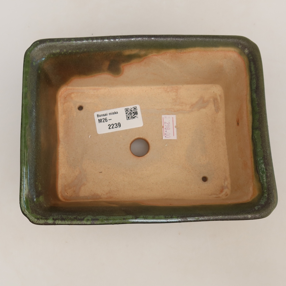 Keramische bonsaipot 18 x 14 x 7 cm, kleur groen