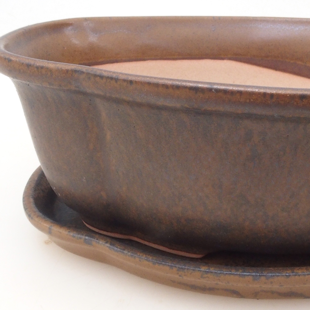 Bonsai kom + schotel H75 - bruin