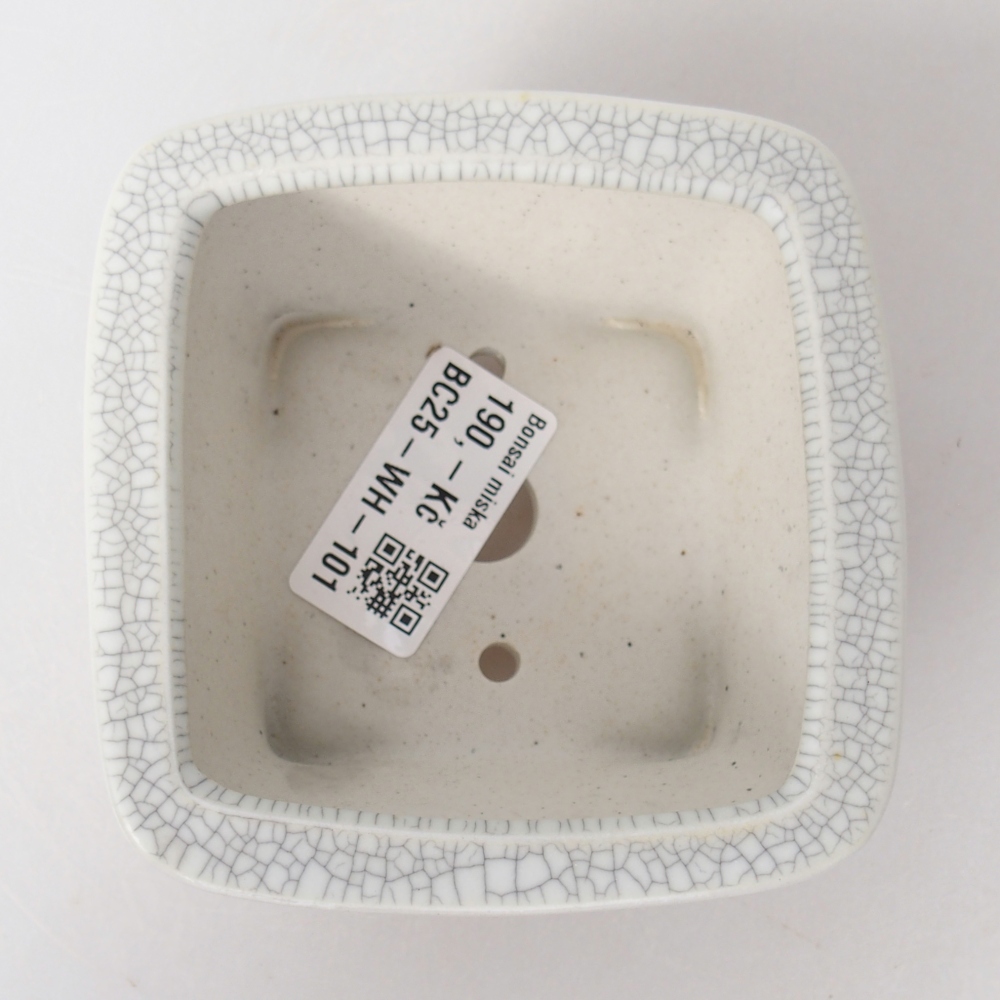Bonsaischaal van keramiek 9,5 x 9,5 x 5 cm, raku kleur