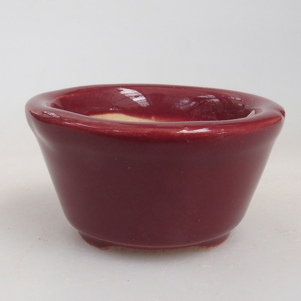 Mini bonsaischaal 4 x 4 x 2 cm, bordeauxrood